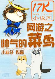 网游之帅气的菜鸟
