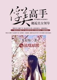 俘美高手：邂逅美女领导