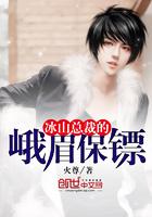 冰山总裁的峨眉保镖