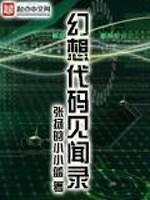 幻想代码见闻录