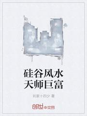 硅谷风水天师巨富