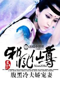 邪凤仙尊，腹黑冷夫娇宠妻
