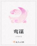 鸾谋
