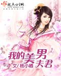 我的美男夫君