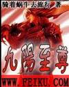 九阳至尊