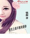 重生之我不想再爱你