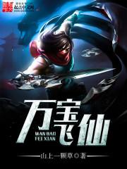 万宝飞仙
