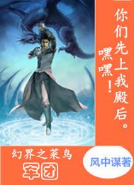 幻界之菜鸟军团