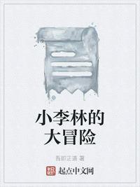 小李林的大冒险