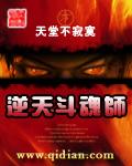 逆天斗魂师