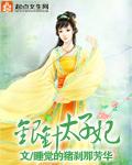 银针太子妃