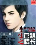 重生之官路情长