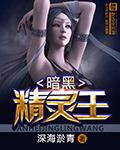 暗黑精灵王