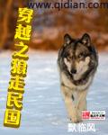穿越之狼走民国