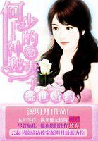 盛世婚约：何少的神秘妻子