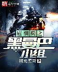 雇佣兵之黑曼巴小组