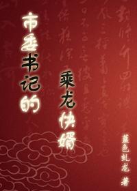 市委书记的乘龙快婿