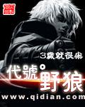 代号野狼
