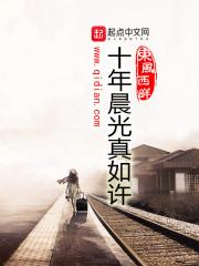 十年晨光真如许