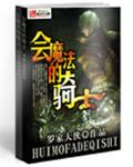 会魔法的骑士