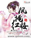 凤掩红妆