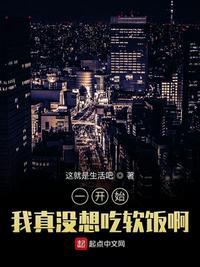 一开始，我真没想吃软饭啊