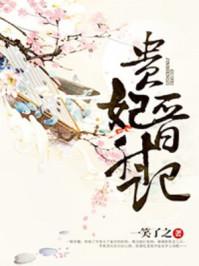 贵妃晋升记
