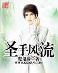 圣手风流