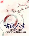 古玩人生_可大可小