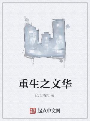 重生之文华