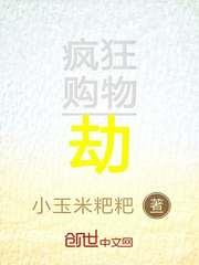 疯狂购物劫