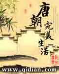 唐朝完美生活