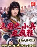 三国之小兵也疯狂