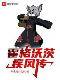霍格沃茨疾风传