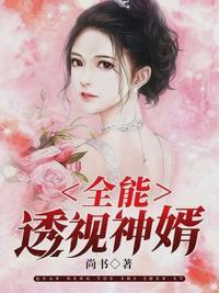 全能透视神婿