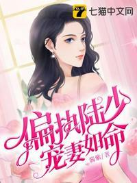 偏执陆少宠妻如命