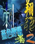 翔龙之刺