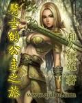 骑士的公主之旅