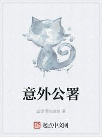 意外公署
