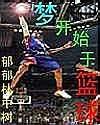 梦开始于篮球