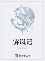 雾岚记（雾岚）