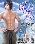 浪子风流闯网游