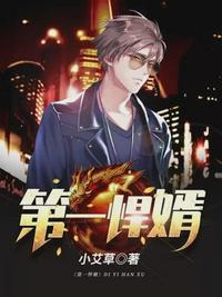 第一悍婿