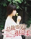 总裁盛爱很温柔
