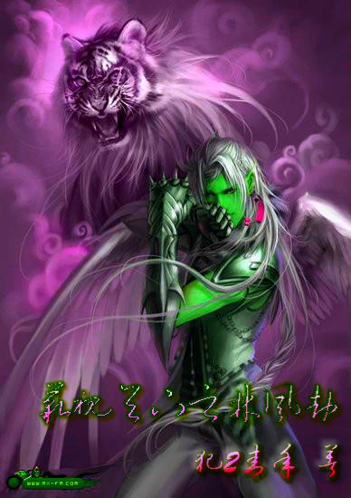 藐视天下之林风劫