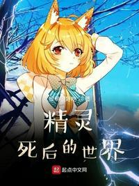 精灵死后的世界