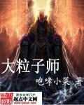 大粒子师