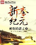 新秦纪元