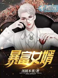暴富女婿